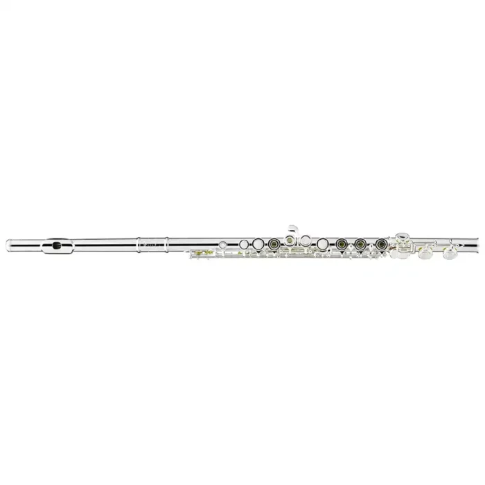 Flauta Transversal Sonaré PS11CGF - Image 2