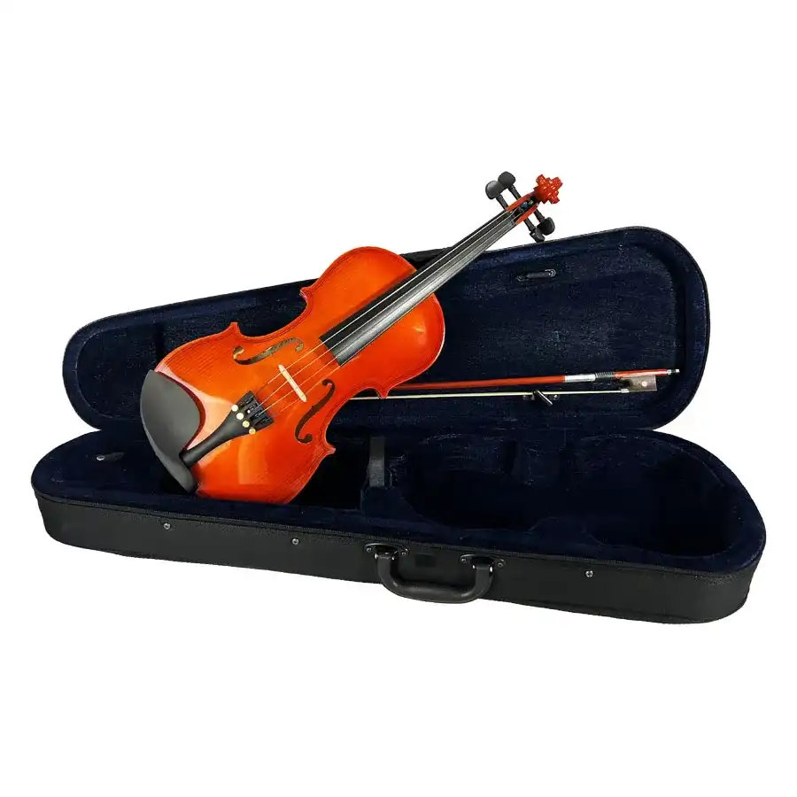 HVA100-16_1 Viola Cervini HVA-100