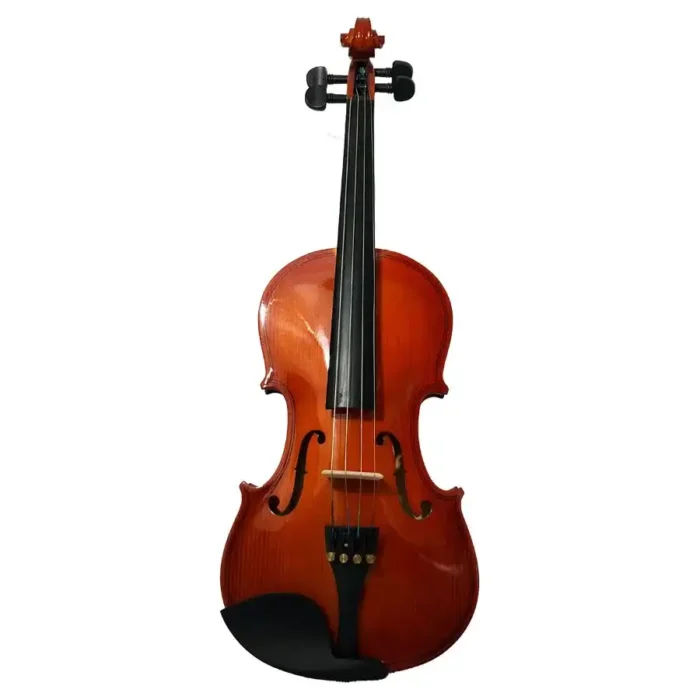 Viola Cervini HVA-100 - Image 2
