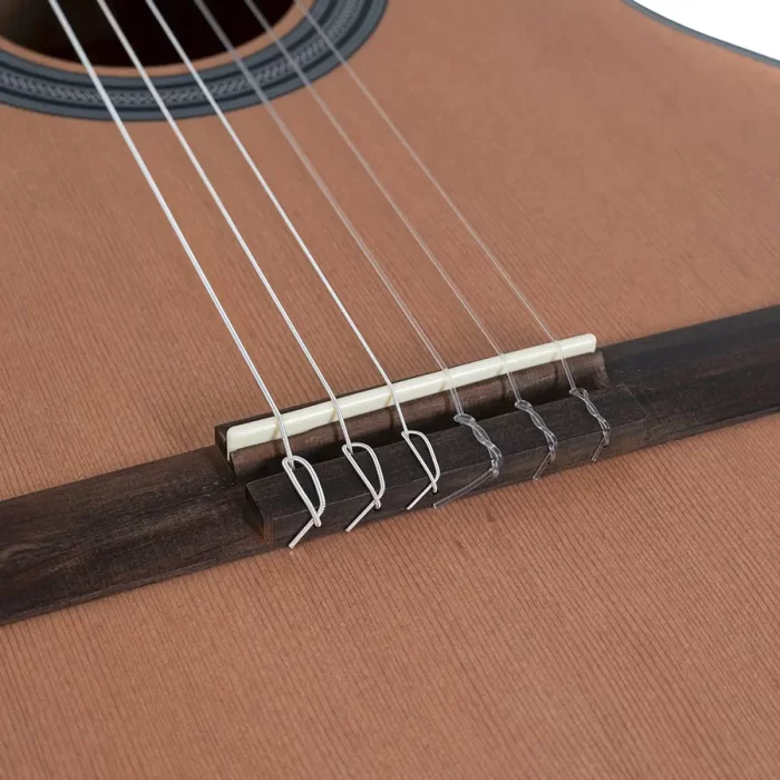 Guitarra Clásica GEWA Modelo VG500146 Student Natural - Image 5